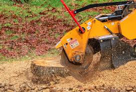 Pest Control for Lawns in Pascoag, RI
